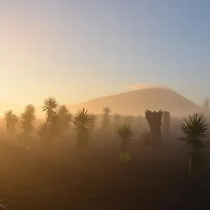 casa-bermejo.in-canary-islands.com/